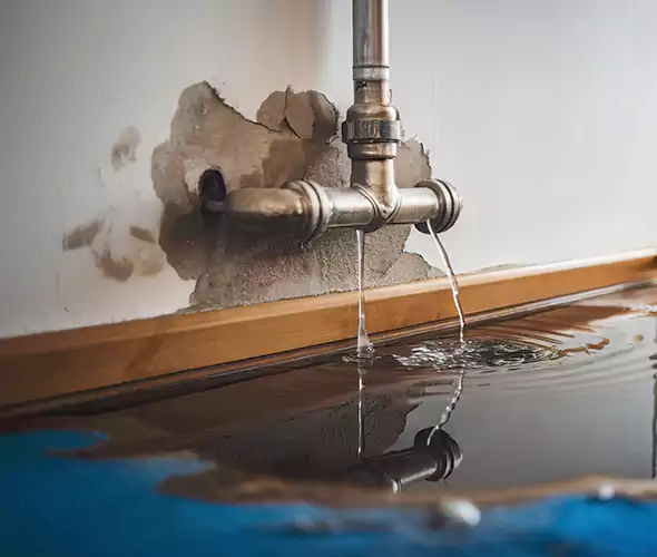 Professional Water Damage Restoration Experts in Socastee, SC — Fast, Reliable & Certified
