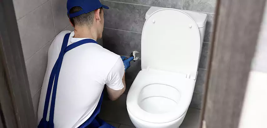 Toilet Lid Replacement in Socastee