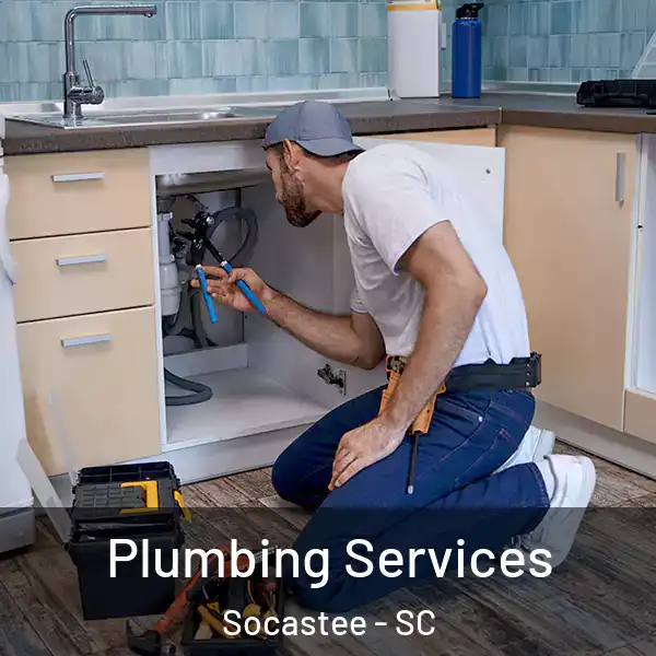  Plumbing Services Socastee - SC