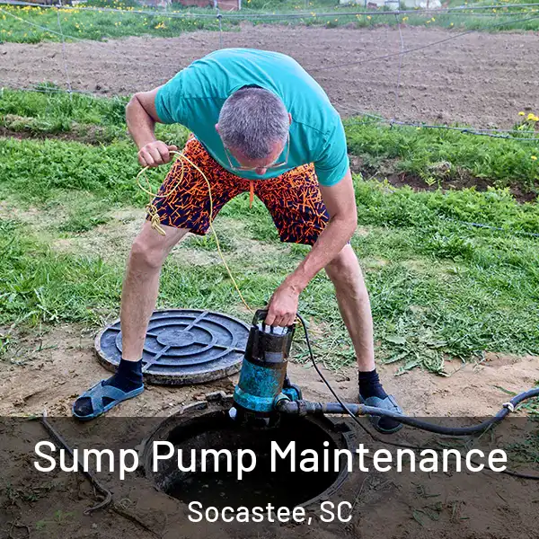  Sump Pump Maintenance Socastee, SC