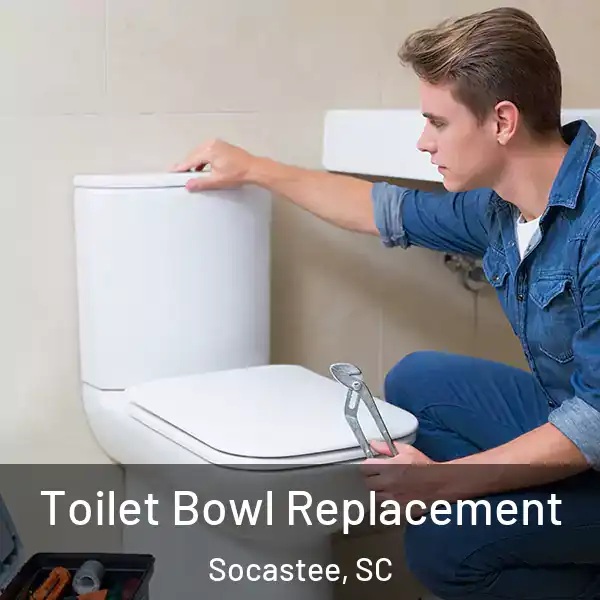  Toilet Bowl Replacement Socastee, SC
