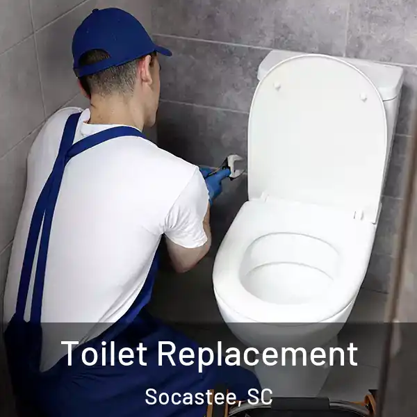  Toilet Replacement Socastee, SC