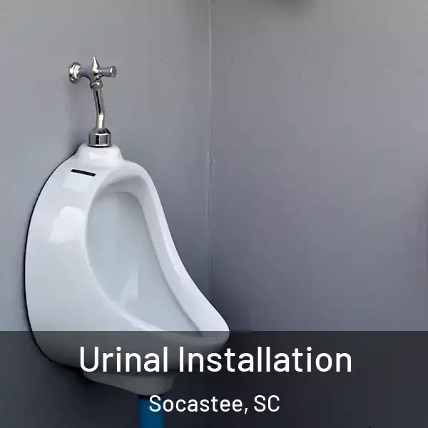  Urinal Installation Socastee, SC